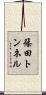 篠田トンネル Scroll
