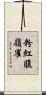 粉紅腹嶺雀 Scroll