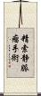精索静脈瘤手術 Scroll