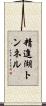 精進湖トンネル Scroll
