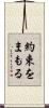 約束をまもる Scroll