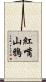 紅嘴山鴉 Scroll