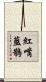 紅嘴藍鵲 Scroll