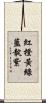 紅橙黃綠藍靛紫 Scroll