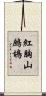 紅胸山鷓鴣 Scroll