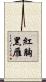 紅胸黑雁 Scroll