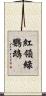 紅領綠鸚鵡 Scroll