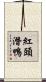 紅頭潛鴨 Scroll