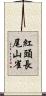 紅頭長尾山雀 Scroll