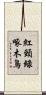 紅頸綠啄木鳥 Scroll
