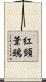 紅頸葦鵐 Scroll