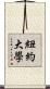 紐約大學 Scroll