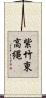 紫竹東高縄 Scroll