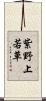 紫野上若草 Scroll