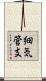 細気管支 Scroll