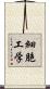 細胞工学 Scroll