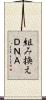 組み換えＤＮＡ Scroll