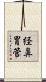 経鼻胃管 Scroll