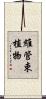 維管束植物 Scroll
