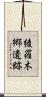 綾羅木郷遺跡 Scroll