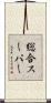 総合スーパー Scroll