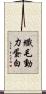 纖毛動力蛋白 Scroll