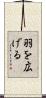 羽を広げる Scroll