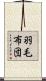 羽毛布団 Scroll