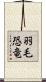 羽毛恐竜 Scroll