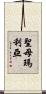 聖母瑪利亞 Scroll