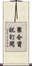 聚合資訊訂閱 Scroll
