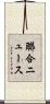聯合ニュース Scroll