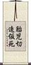 胎児切迫仮死 Scroll