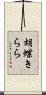 胡蝶きらら Scroll