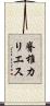 脊椎カリエス Scroll