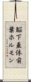 脳下垂体前葉ホルモン Scroll