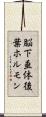 脳下垂体後葉ホルモン Scroll