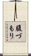 腹づもり Scroll