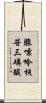 腺嘌呤核苷三磷酸 Scroll