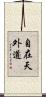 自在天外道 Scroll