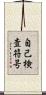 自己検査符号 Scroll