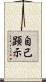 自己顕示 Scroll