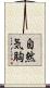 自然気胸 Scroll