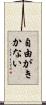 自由がきかない Scroll
