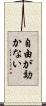 自由が効かない Scroll