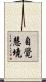 自覺慧境 Scroll