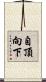 自頂向下 Scroll