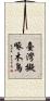 臺灣擬啄木鳥 Scroll