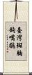 臺灣斑胸鉤嘴鶥 Scroll