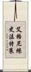 艾格尼絲·史沫特萊 Scroll